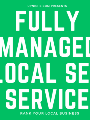 Local Business SEO Ranking Service