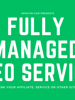 Managed SEO Service- Rank Your Website