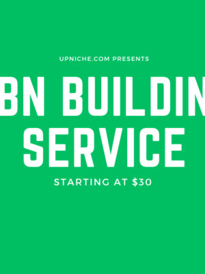 PBN Building Service- Real Websites That Pass Manual Review
