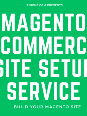 Magento Ecommerce Website Setup Service